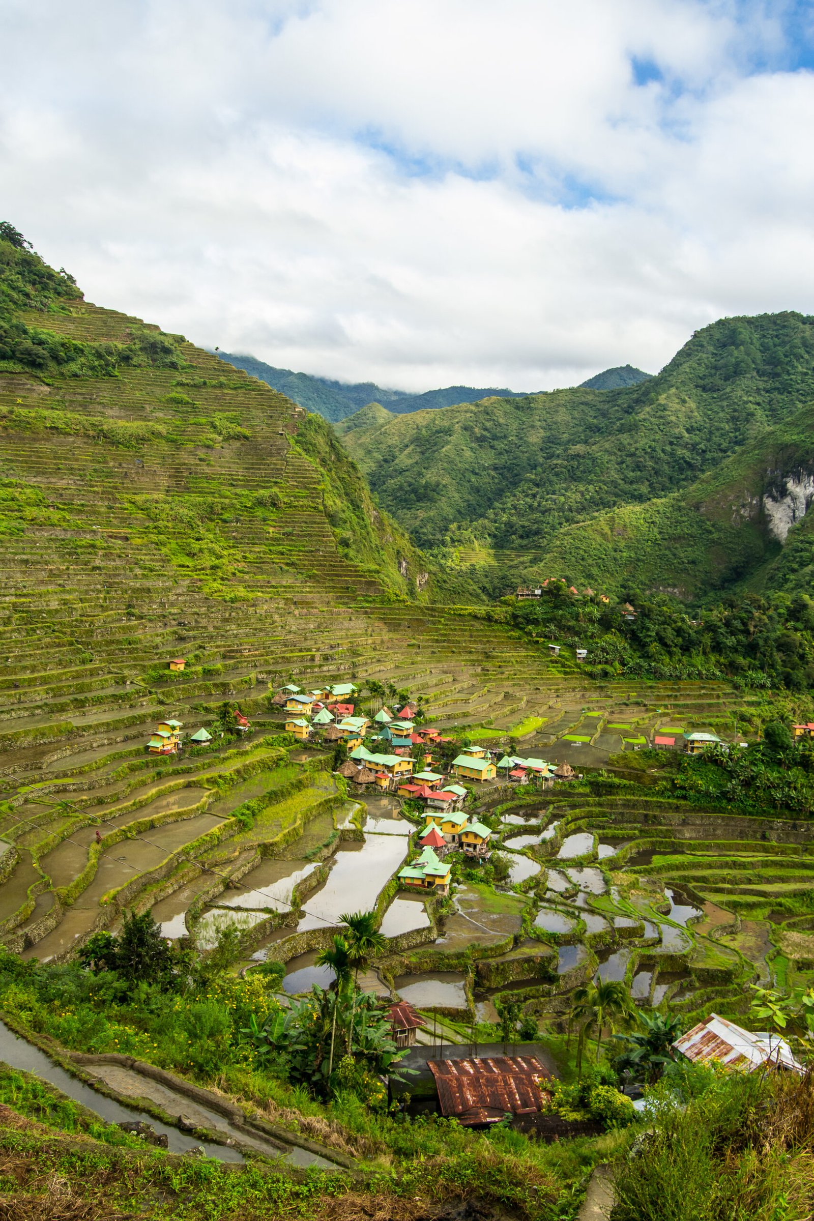 A vertical shot of Batad Rice Terraces, Luzon, Philippines